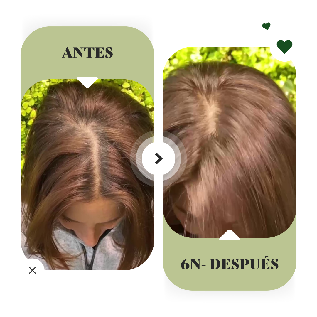 6N.png